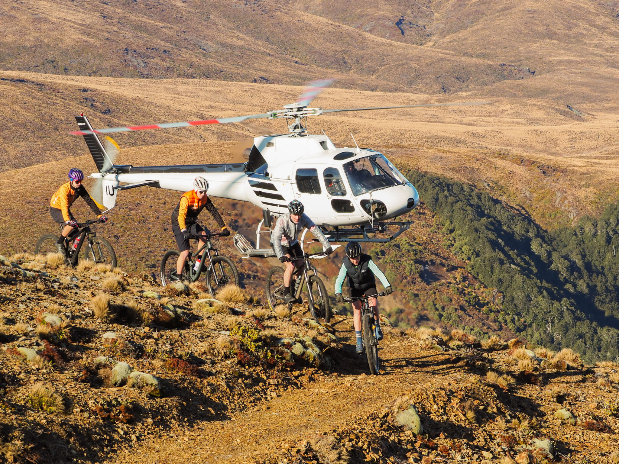 Kaimanawa Descent