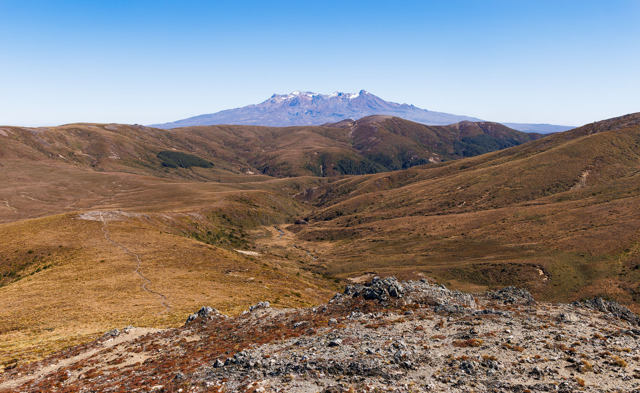 Kaimanawa Descent trail