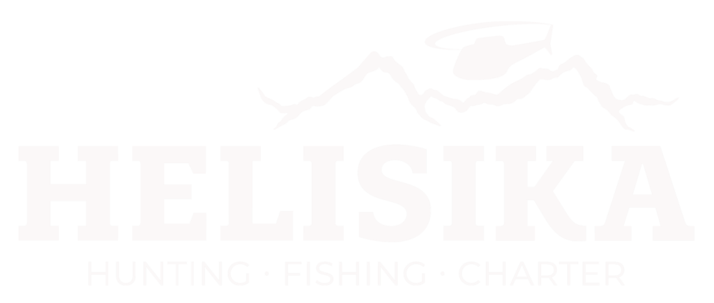Helisika Logo
